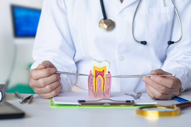 Best Urgent Care for Lost Fillings or Crowns in Forest Lake, MN